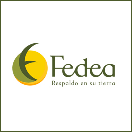 Fedea S.A.